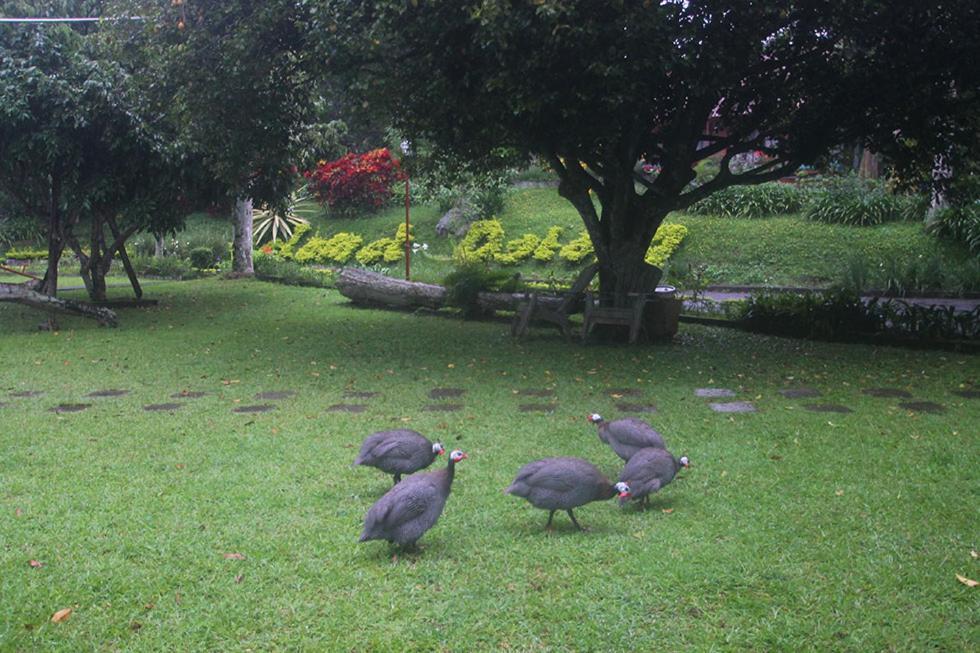 Hotel Villa Rawa Pening Pratama By Aparian Desa Desa Bandungan Exteriör bild